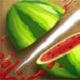 Fruit Ninja Fruit Ninja