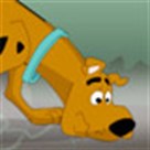 Scooby Doo: Đầm lầy ma