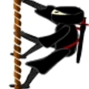 Ninja leo dây