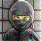 Ninja lẩn tránh
