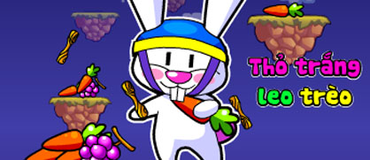 Thỏ trắng leo trèo