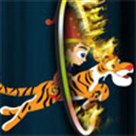 Rạp xiếc vui vẻ