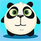 Panda bật cao