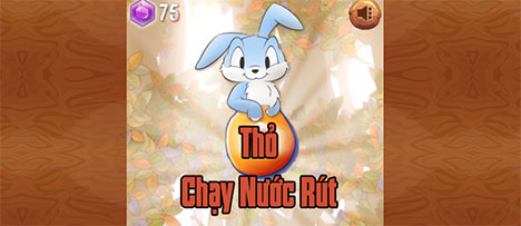 Thỏ chạy nước rút