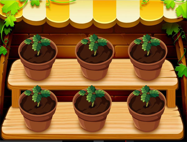 Mia-lam-vuon-gieo-hat