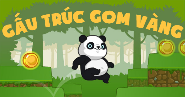 Gấu trúc gom vàng