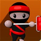 Ninja sơn nhà 2