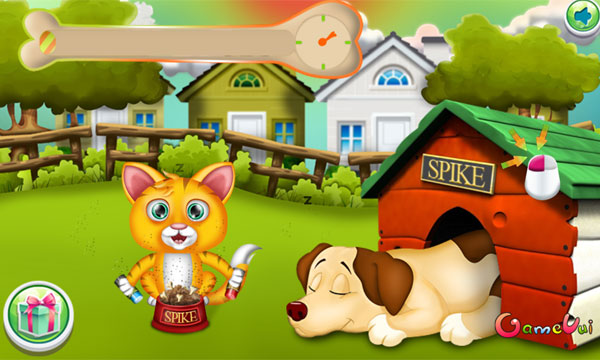 Mèo con chọc phá