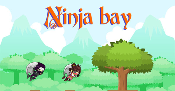 Ninja bay