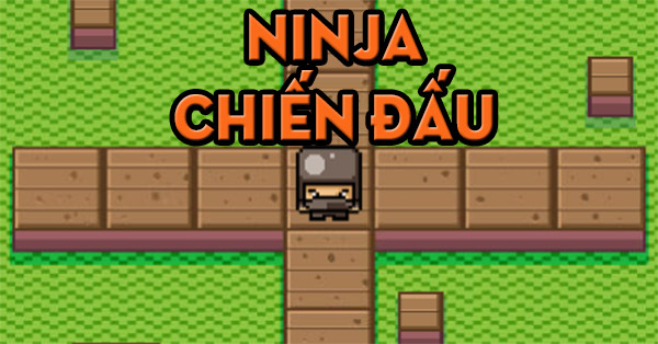 Ninja chiến đấu