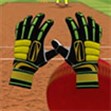 Bắt bóng Cricket