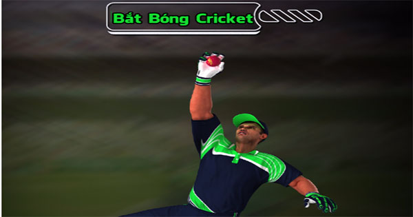 Bắt bóng Cricket
