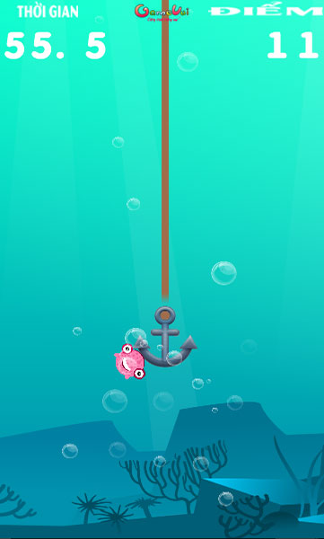 gap-quai-vat-dai-duong