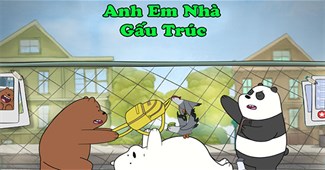 Anh em nhà gấu trúc