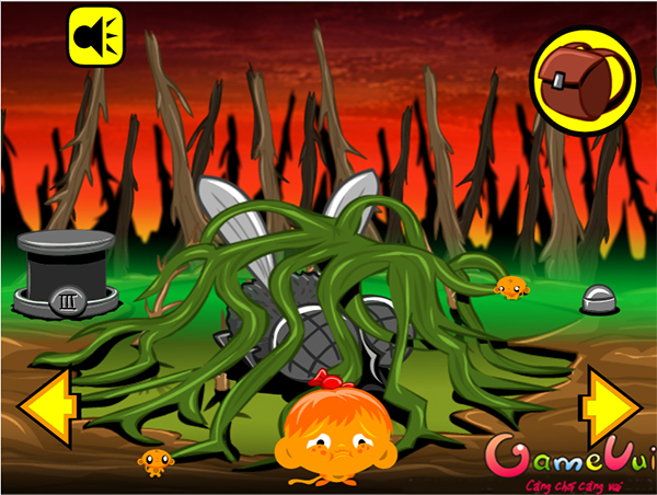 chu-khi-buon-cay-ky-la