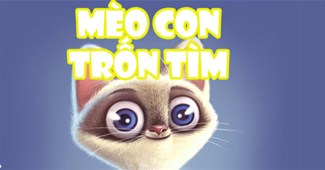 Mèo con trốn tìm