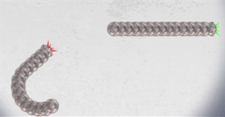 Vi khuẩn đại chiến