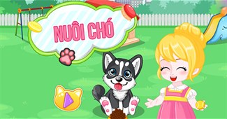 Nuôi chó