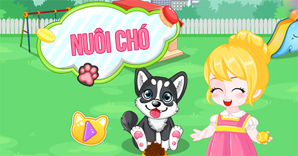 Nuôi chó