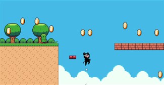 Ninja mèo phiêu lưu