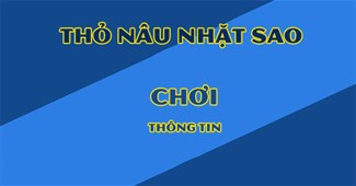 Thỏ nâu nhặt sao
