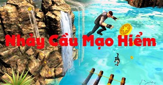 Nhảy cầu mạo hiểm