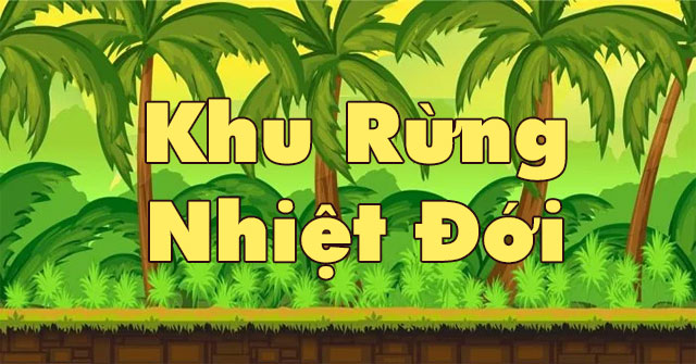 Khu rừng nhiệt đới