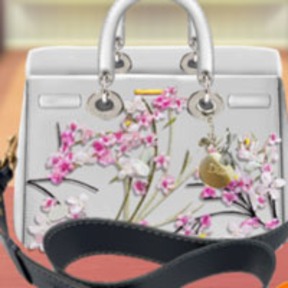 Thiết kế túi xách Dior