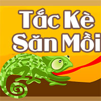 Tắc kè săn mồi