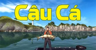 Câu cá