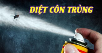 Diệt côn trùng