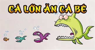 Cá lớn ăn cá bé