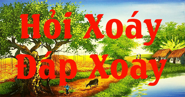 Hỏi xoáy đáp xoay