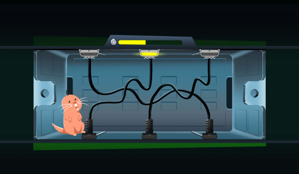 Dùng Rufus hack hệ thống bảo mật