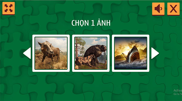 Có nhiều bức tranh cho bạn chọn