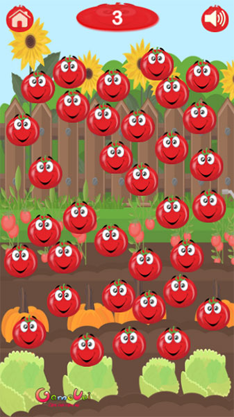 Hãy phá từng quả chua