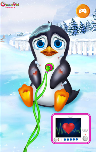 Chữa vết thương cho cánh cụt bị thương