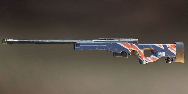 Súng bắn tỉa AWM