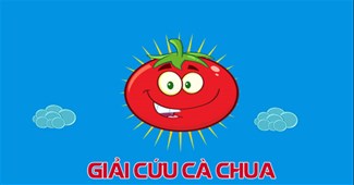 Giải cứu cà chua