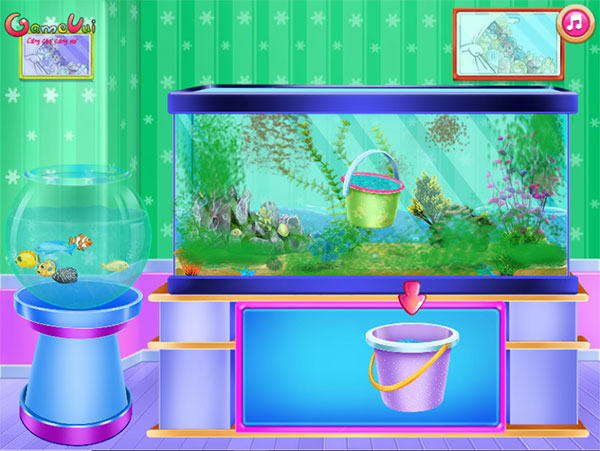 Dọn dẹp bể cá