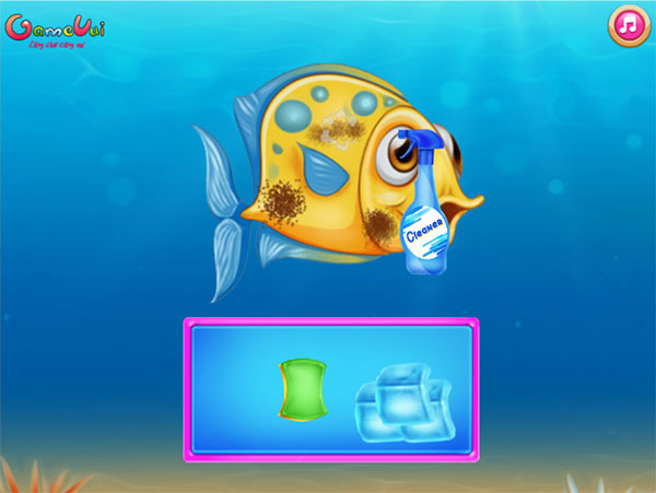 Trị thương cho cá