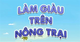 Làm giàu trên nông trại