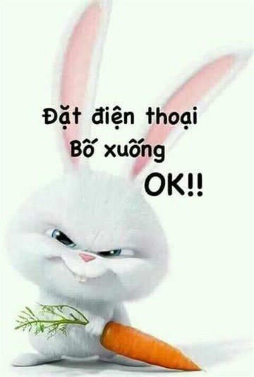 Hình nền 3