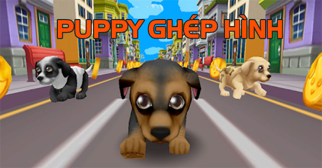 Puppy ghép hình