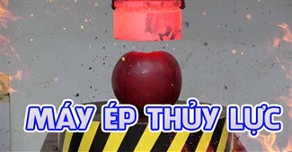 Máy ép thủy lực