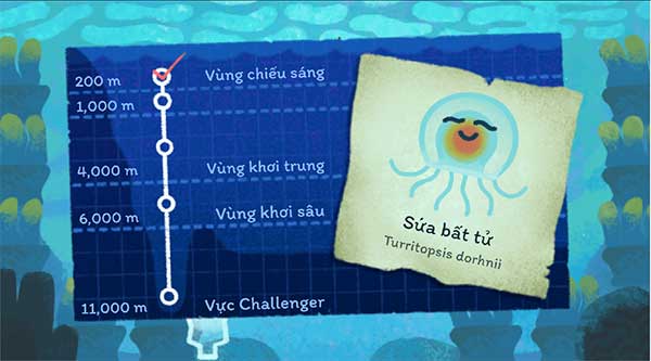 Các tầng đại dương