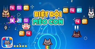 Biệt đội mèo con