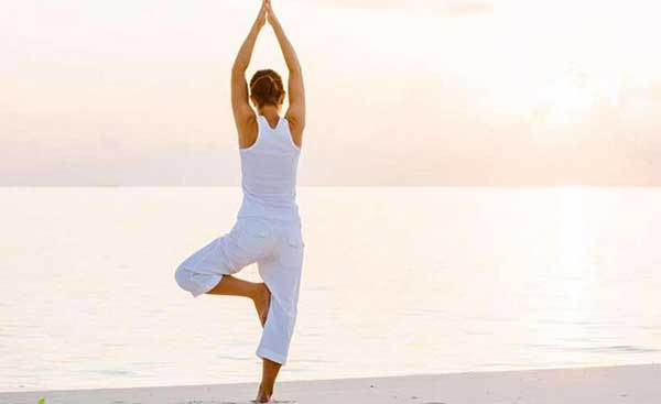 Kim kê độc lập