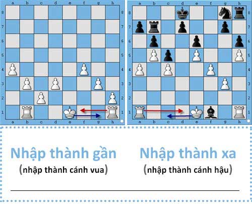 Luật nhập thành