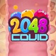 2048 Covid